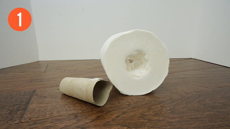 Homemade Toilet Paper Roll Fleshlight - Step 1