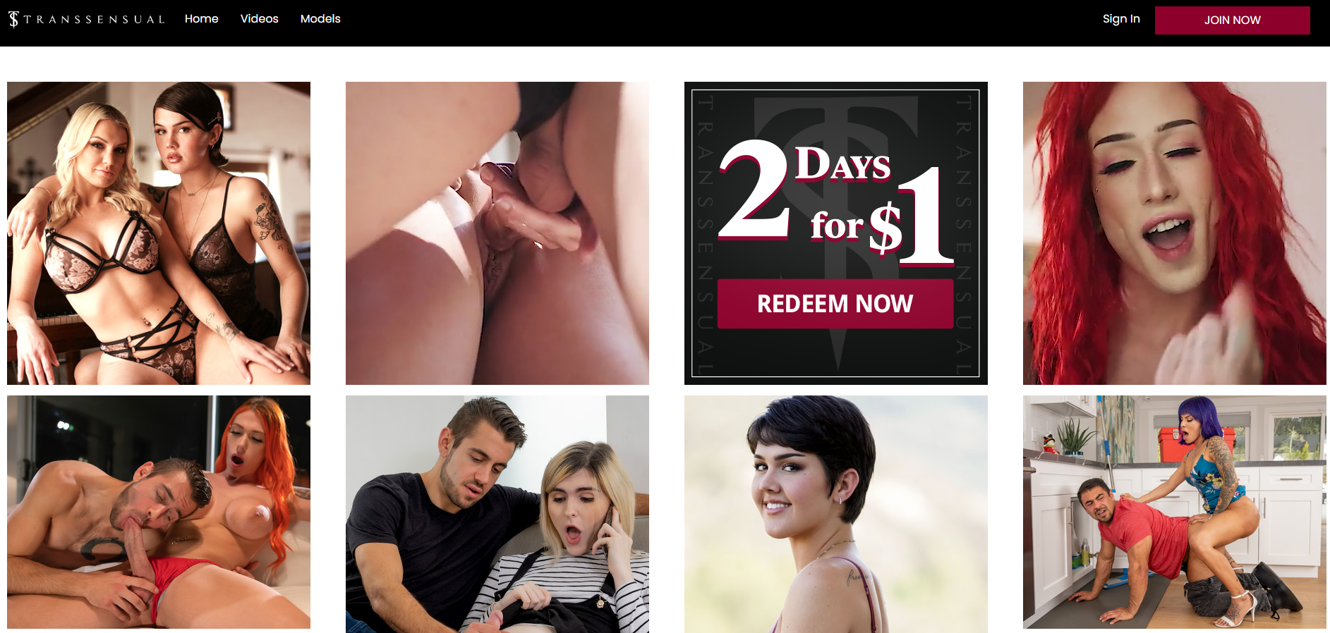 Transsensual.com homepage